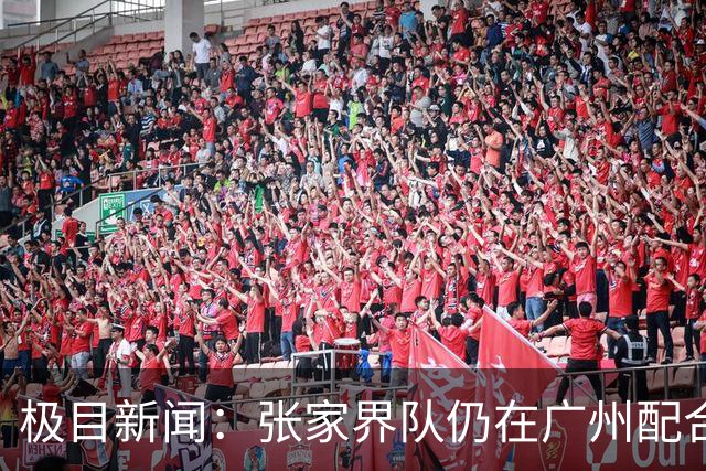极目新闻：张家界队仍在广州配合调查，警方和多个主管部门已介入