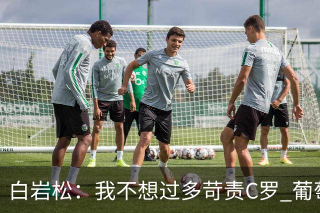 白岩松：我不想过多苛责C罗 葡萄牙的主教练和中场应该做检讨